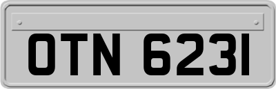 OTN6231