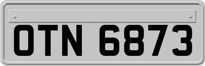 OTN6873