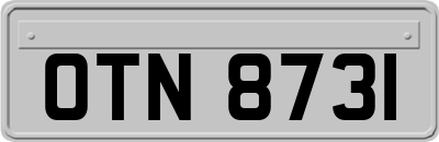 OTN8731