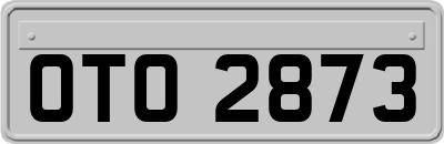 OTO2873