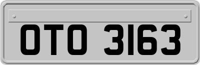 OTO3163