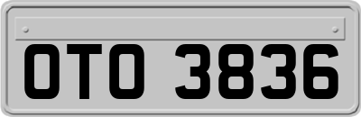 OTO3836