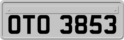 OTO3853