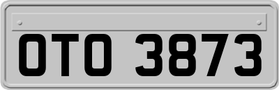 OTO3873