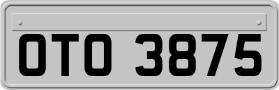 OTO3875