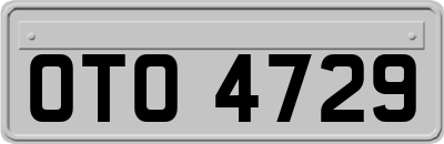 OTO4729