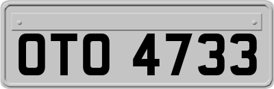 OTO4733