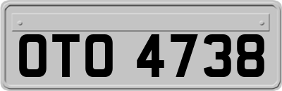 OTO4738