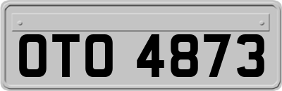 OTO4873