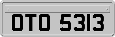 OTO5313