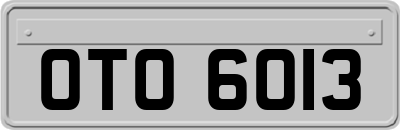 OTO6013