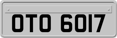 OTO6017