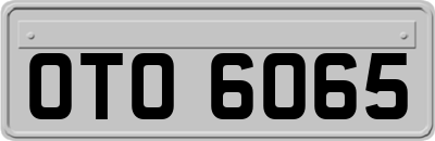 OTO6065