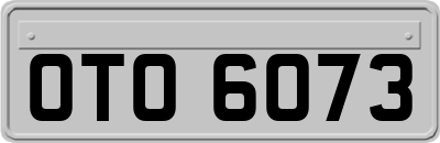 OTO6073