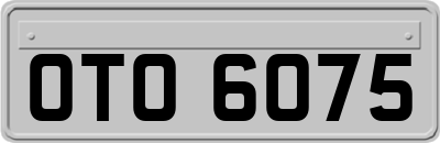 OTO6075