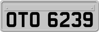OTO6239
