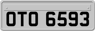 OTO6593
