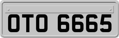 OTO6665