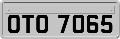 OTO7065
