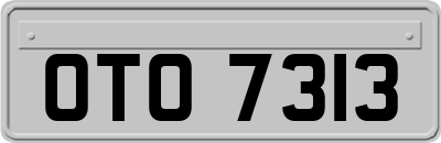 OTO7313