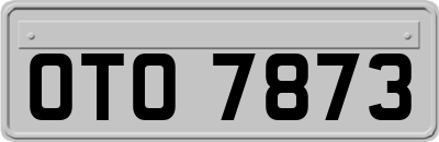 OTO7873