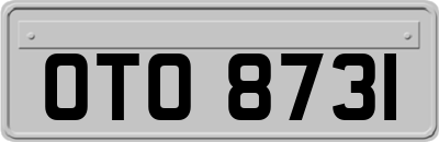 OTO8731