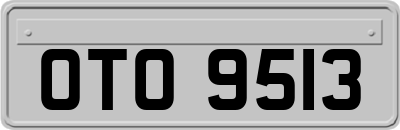 OTO9513