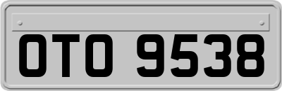 OTO9538