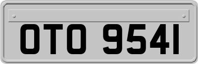 OTO9541