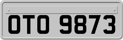 OTO9873