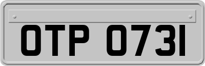 OTP0731