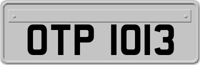 OTP1013