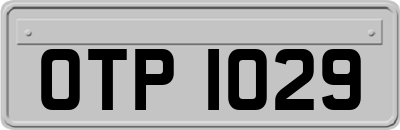 OTP1029