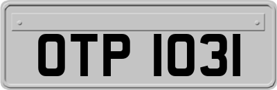 OTP1031
