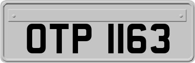 OTP1163