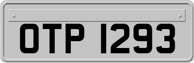 OTP1293