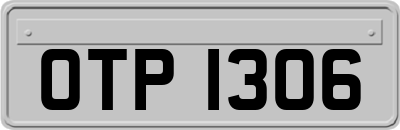 OTP1306
