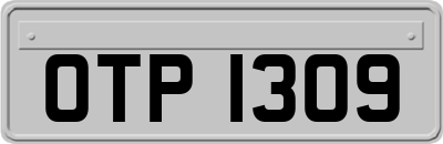 OTP1309