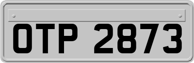 OTP2873