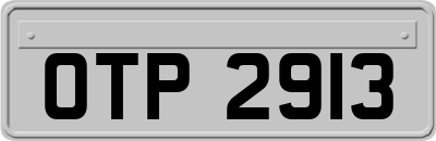 OTP2913
