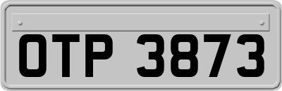 OTP3873