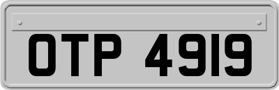 OTP4919