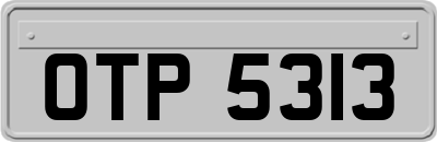 OTP5313