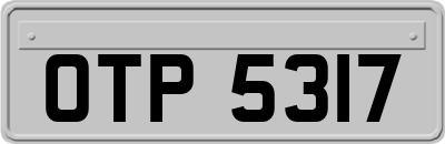 OTP5317
