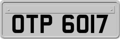 OTP6017