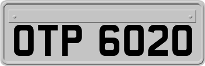 OTP6020