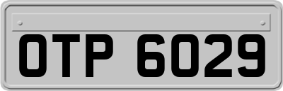 OTP6029