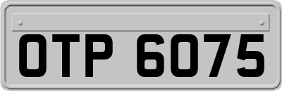 OTP6075