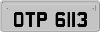 OTP6113