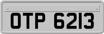 OTP6213